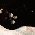 Patricia Ziad -untitled