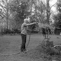 Tarah Sloan - Yard Work - file