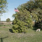 Greg Boozell - Iroquois County, IL 