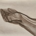 Balazs Sprenc - The hand