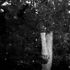 Melissa Spiccia - Fragile Body Image1