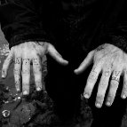 Alex Djordjevic - Clammer's Hands