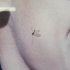 Gary Ng - fly, memento vivere