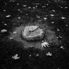 Morteza Toozandehjani - Untitled