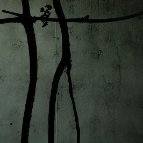 Rey Foret - Catalepsie provoqué par une lumière vive