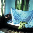 Abby Robinson - Mosquito Net (from the series Here & There)