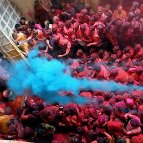Arindam Dutta - Splash of Colour