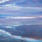 Dean Cully - Aerial from about 1,000' of Algal Mats and Drainage Patterns in Mud at Low Tide on Turnagain Arm near Girdwood, Alaska; Summer, 2015.