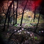 J. M. Golding - Once upon a time in the forest
