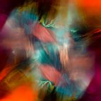 Peter Bonacci - Supernova Collage 
