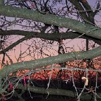 Tania Bohuslavska - from photoseries "Dnieper surface"