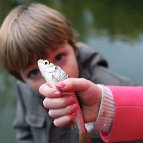 Steven Chandler - Arthur holding Dace, Canon Hill Park, Birmingham