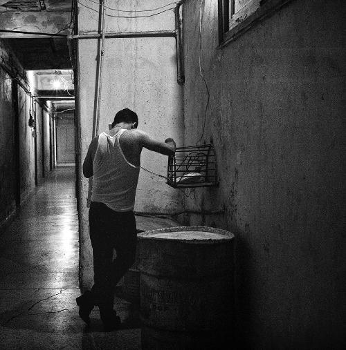Alain Licari - Inside Havana. Cuba