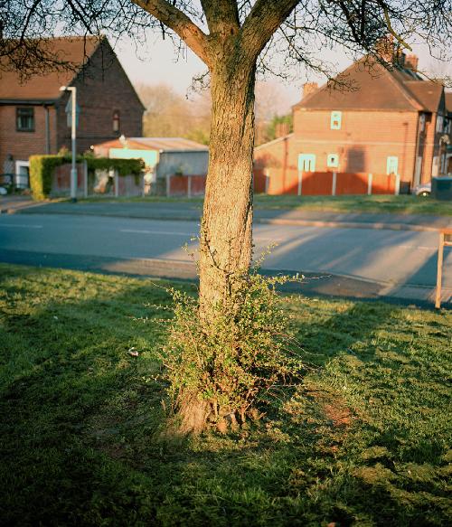 Danielle Madeley - Untitled