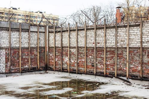 Elena Batova - Wall