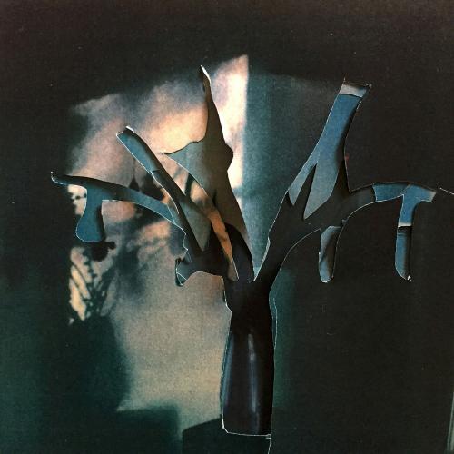 Eva Gjaltema - from the seried Sehnzucht: The Remix