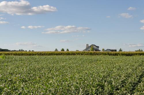 Greg Boozell - Champaign County, IL #2