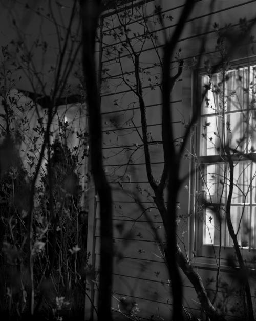 Michael Cardinali - Spring Night, Livingston, NY, 2008