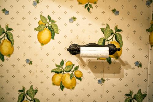 Morgan Stephenson - TP and Lemons