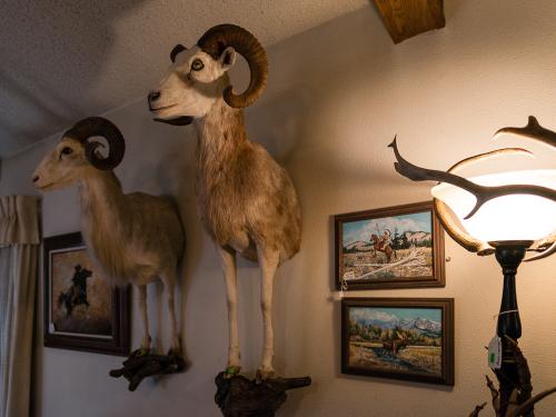 Norm Diamond - Hunters Wall