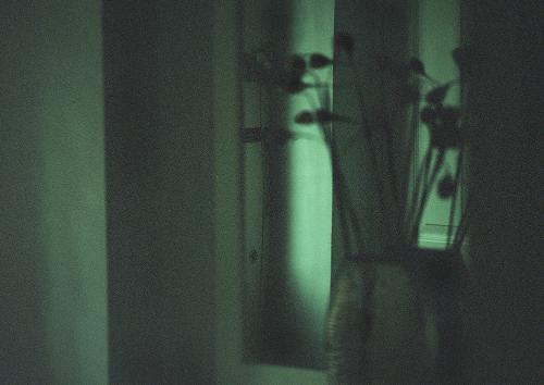 Hannah Wright - Untitled #1, from the series Detriment to a Family Album