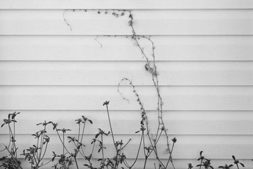Nathan Pearce - Untitled