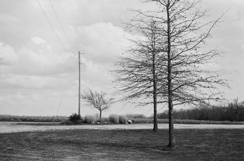 Nathan Pearce - Untitled