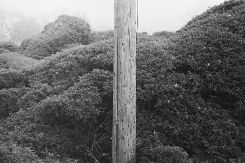 Nathan Pearce - Untitled