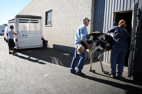 Beth Dubber  -  Behind-The-Scenes, Burbank, 2008