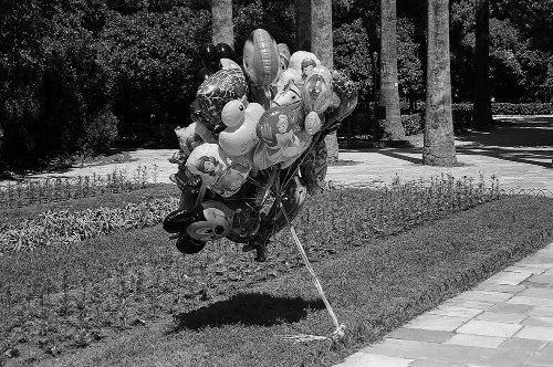 Christopher Underhill  -  Tired up Balloons. National Garden in Athens, Greece