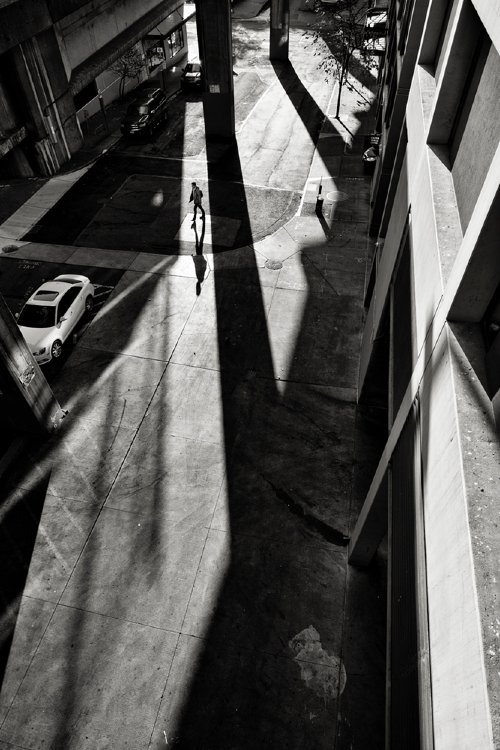Dean Forbes  -  Long shadows
