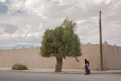 Peter Ydeen  -  A Tree a Woman and a Baby