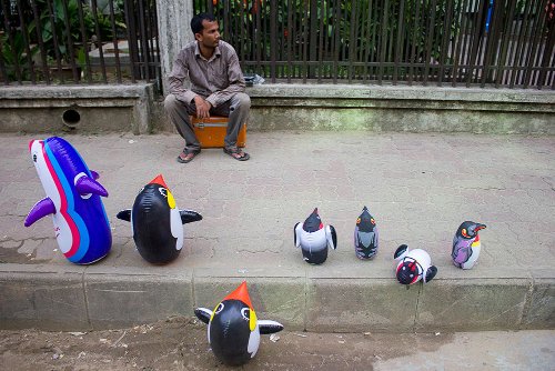 Rizwan Hasan  -  Penguins on the street