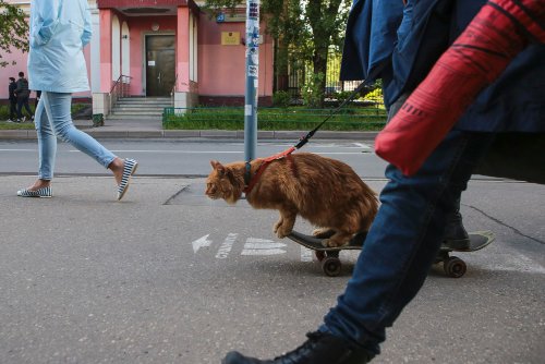 Yaroslav Chingaev  -  on the streets of Moscow