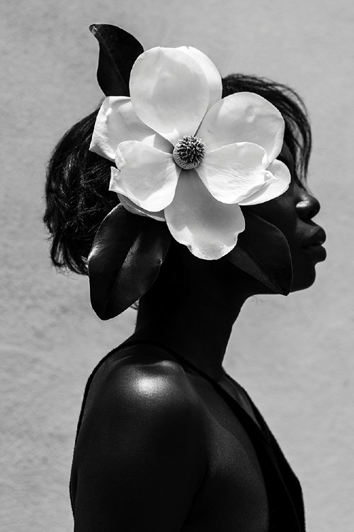 Gregory Prescott - Magnolia