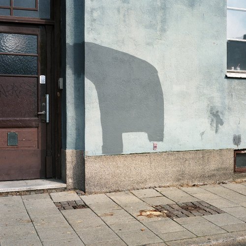 Janne Riikonen - Untitled (2015)