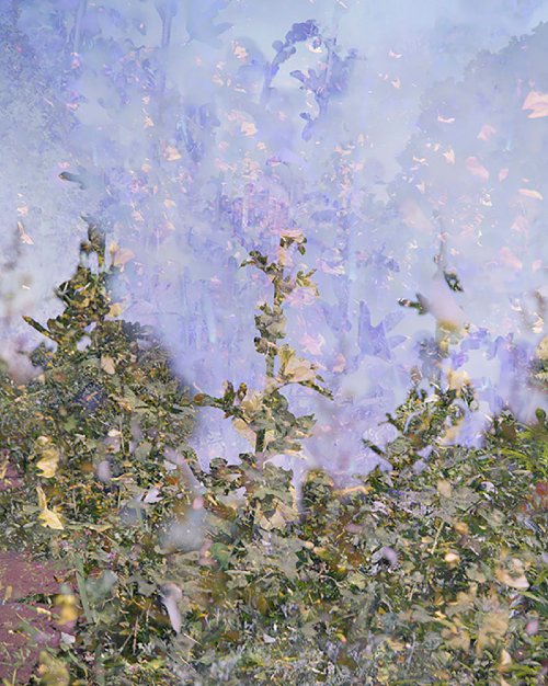 Julianne Nash - Untitled (Garden - Maximum Pixel Data), 2017
