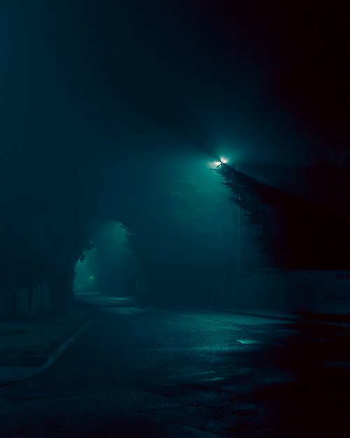 Adrian Wojtas  -  Untitled