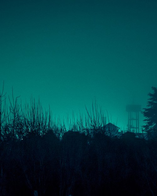 Adrian Wojtas  -  Untitled