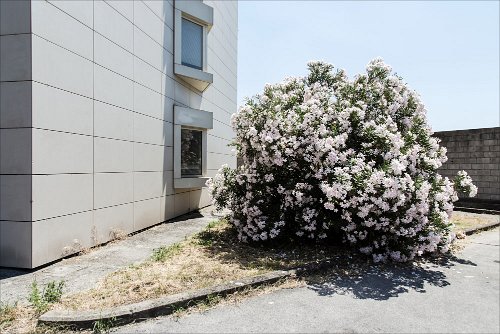 Alessio Lucarini - Unusual Landscape Project