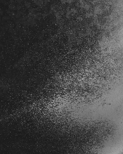 Anastasia Davis - untitled 