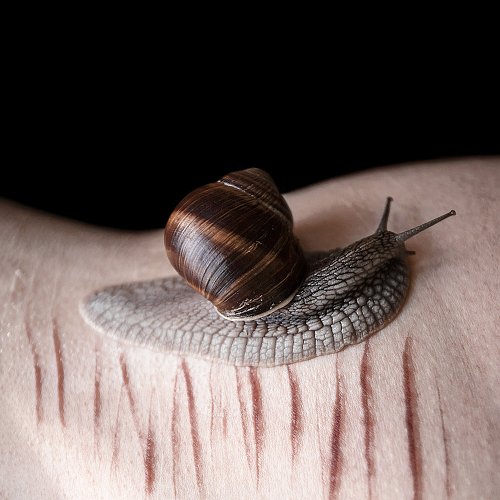 Elena Helfrecht - This too shall pass