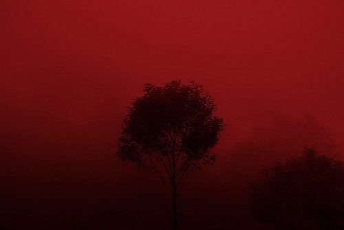 Mara Sánchez-Renero - Iluikak series, "Rojo 1"
