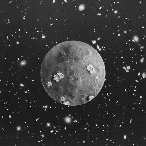 Marco Castelli - Strangerhand, from the series A Micro Odyssey