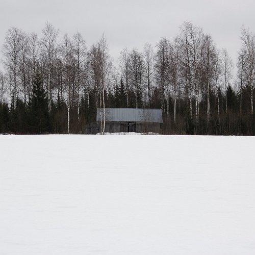 Nica Junker - The beauty of the lingering white