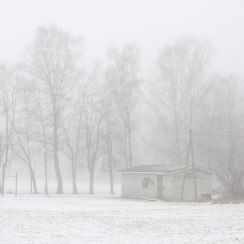 Nica Junker - The beauty of the lingering white