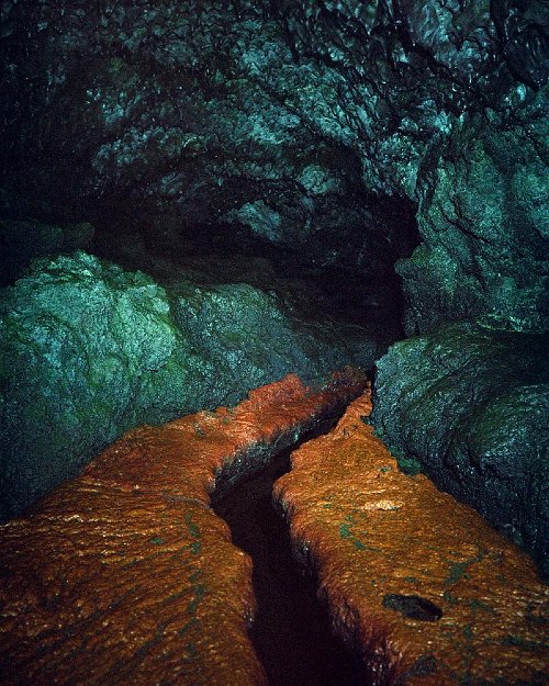 Patryk Pietras - Untitled_01 from the series Gloomy Gardens