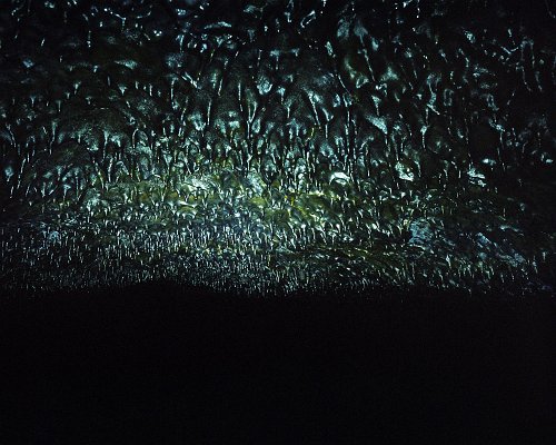 Patryk Pietras - Untitled_06 from the series Gloomy Gardens