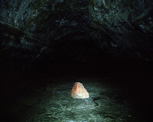 Patryk Pietras - Untitled_12 from the series Gloomy Gardens 