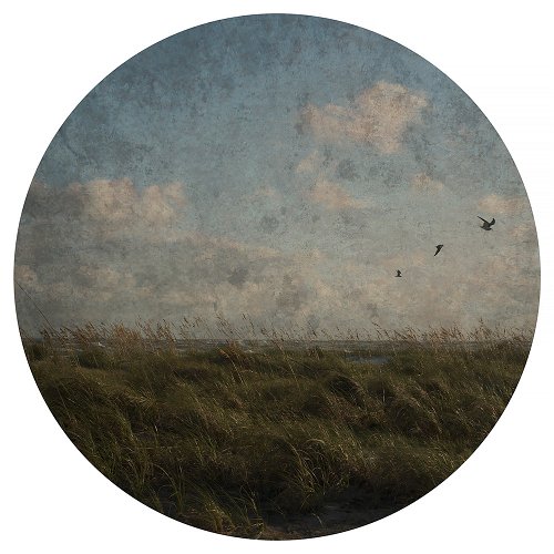 Sandrine Hermand-Grisel - Sea Sketches